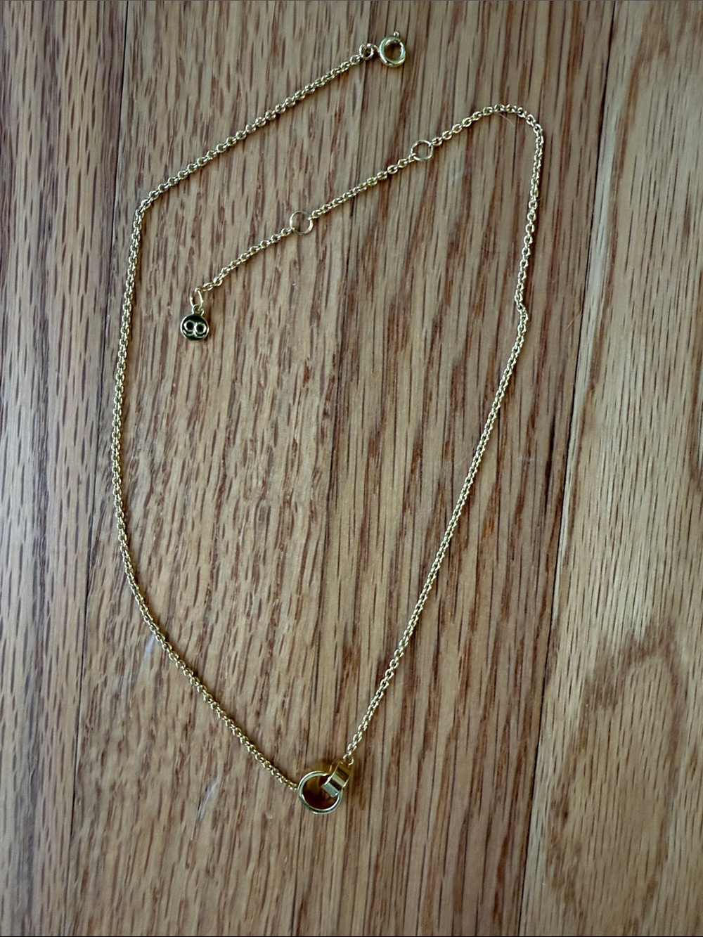 Gorjana Delicate Gold Double Ring Necklace